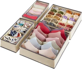 Blushbees® 4-Piece Fabric Drawer Underwear Organizer