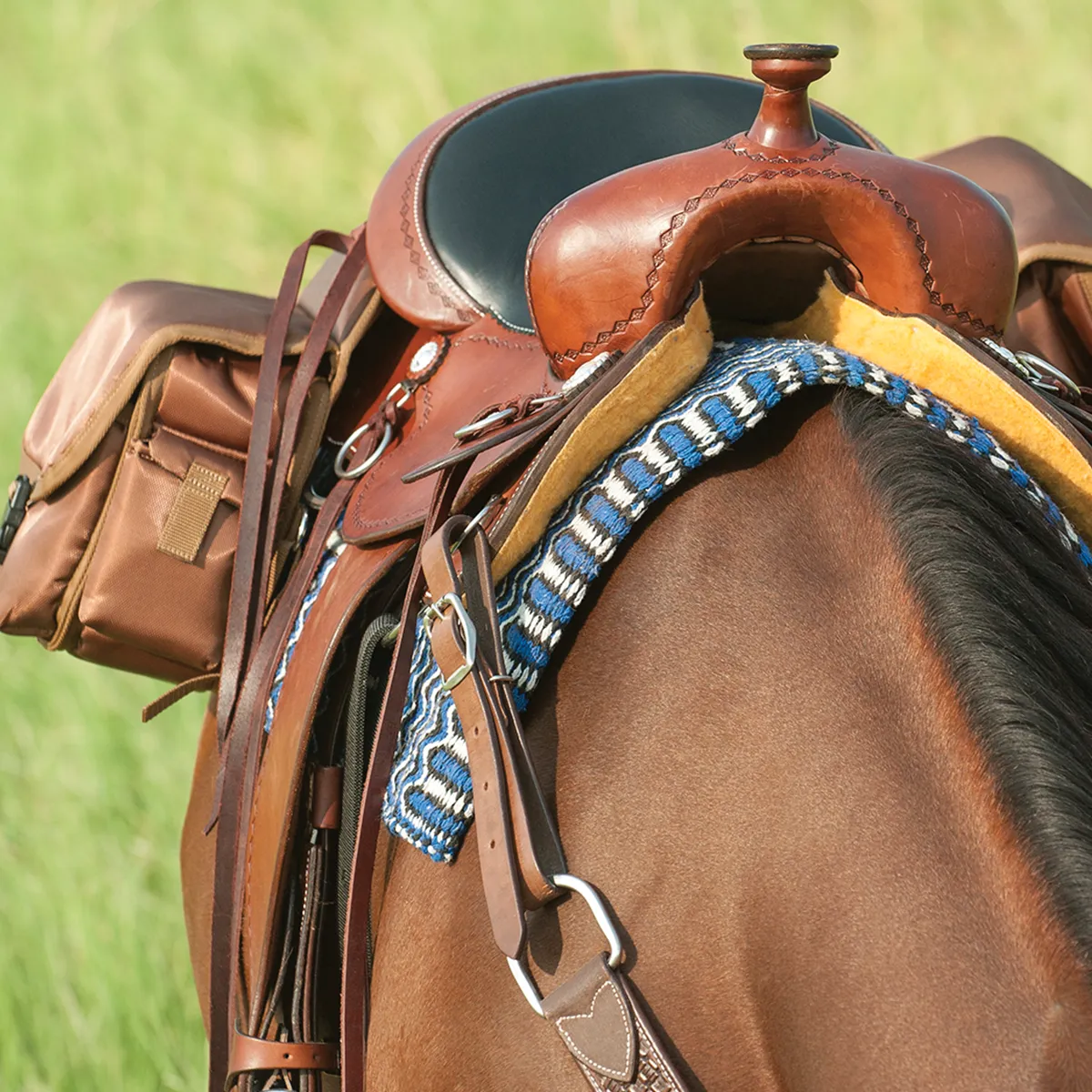 Cashel Deluxe Rear Saddle Bag