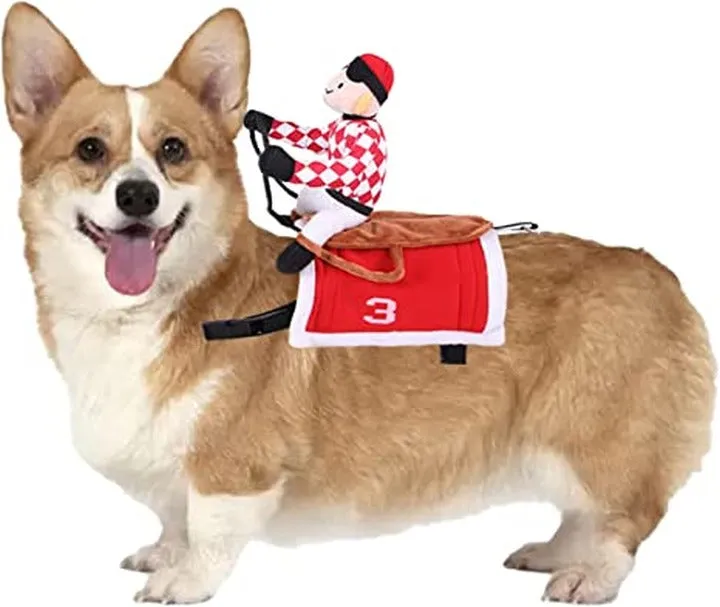 Dog & Cat Dress Up Costume - Jockey Design