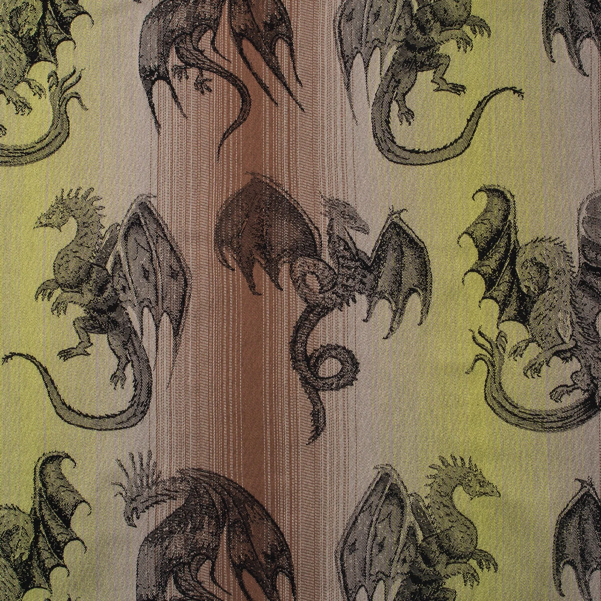 Dragons LennyLight Carrier by LennyLamb
