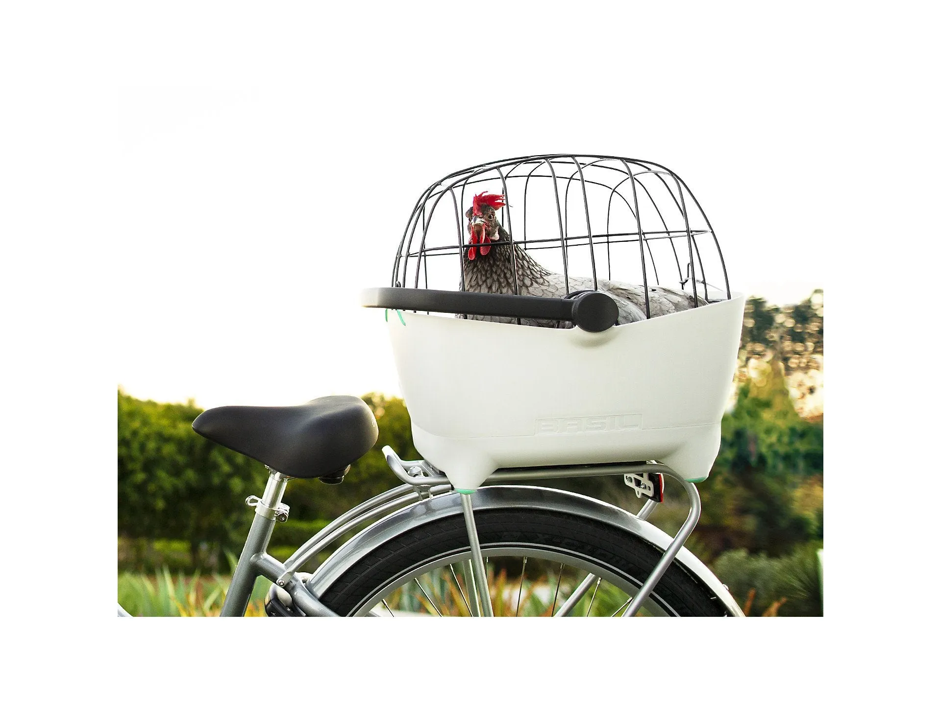 Electra Basil Pet Carrier