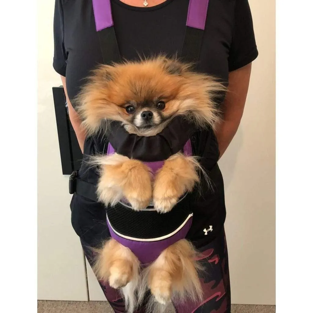 Front Pet Carrier from Safe to Shake