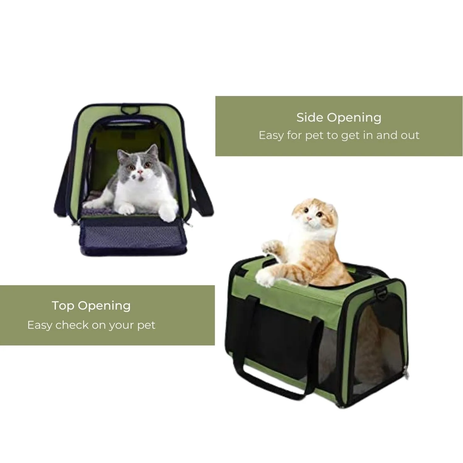 Green L-Size Portable Pet Carrier with Mesh Windows