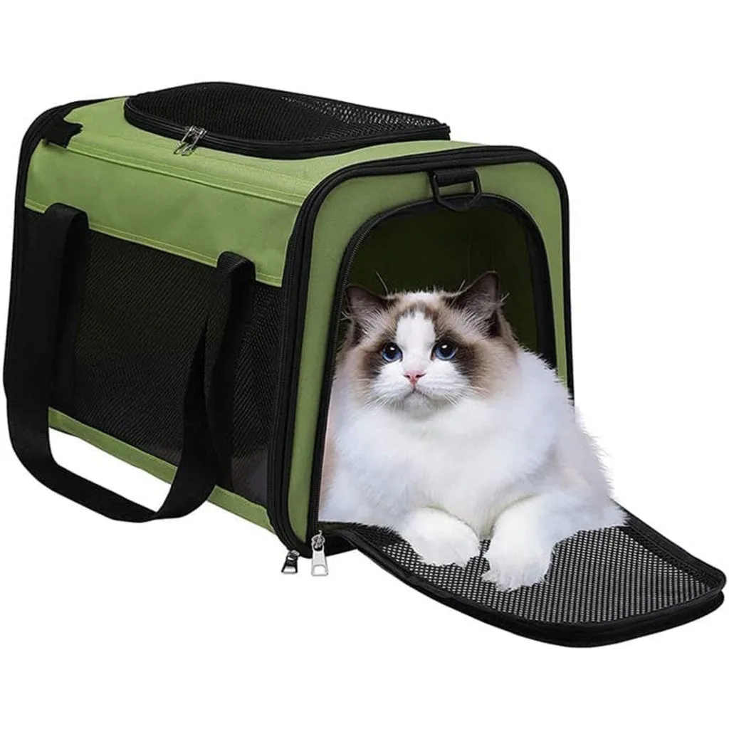Green L-Size Portable Pet Carrier with Mesh Windows