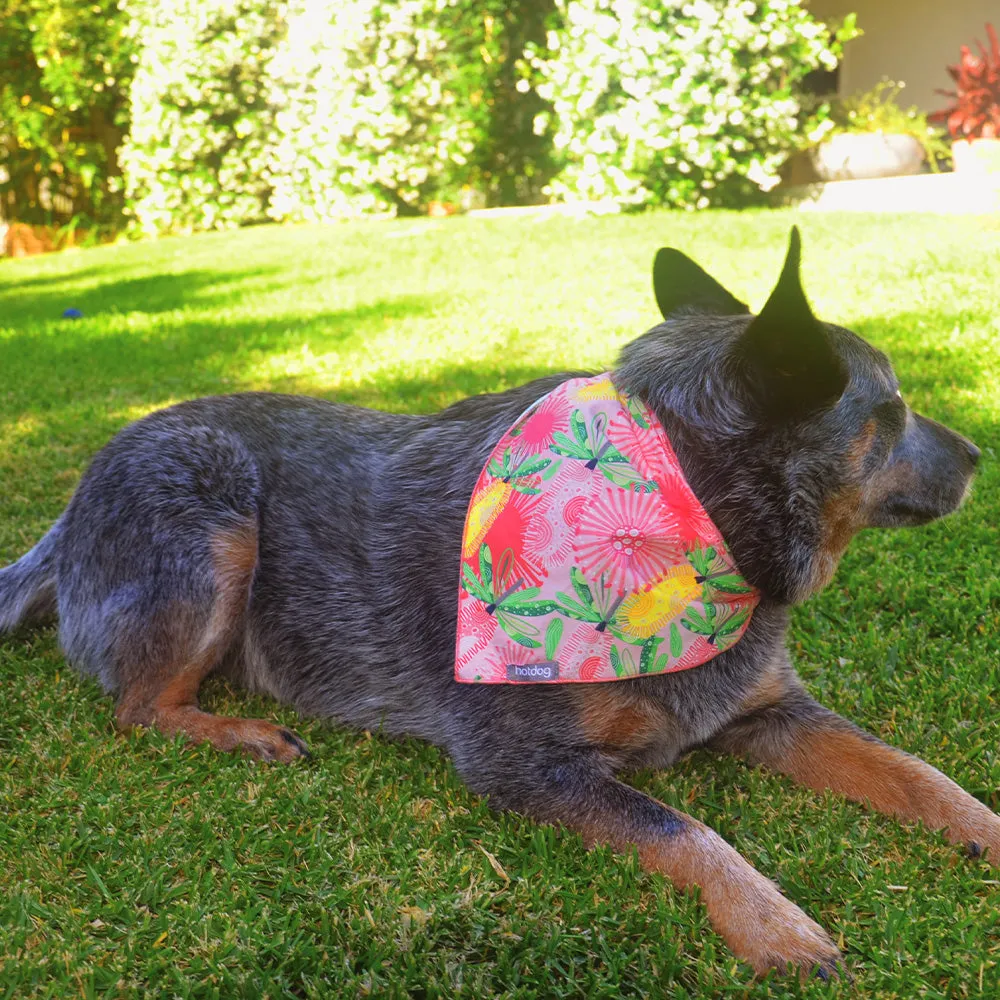 Hot Dog - Bandana - Cotton - Pink Banksia