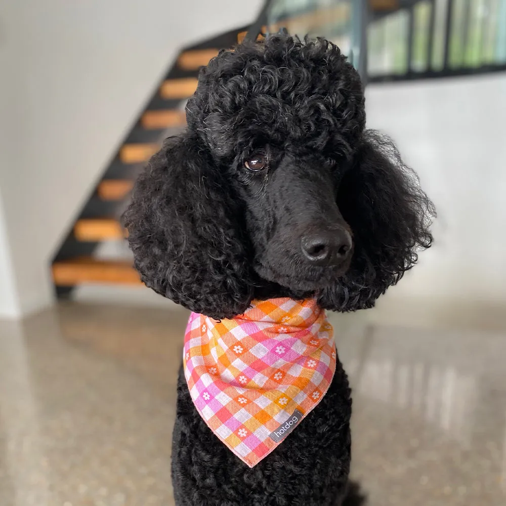 Hot Dog - Bandana - Denim