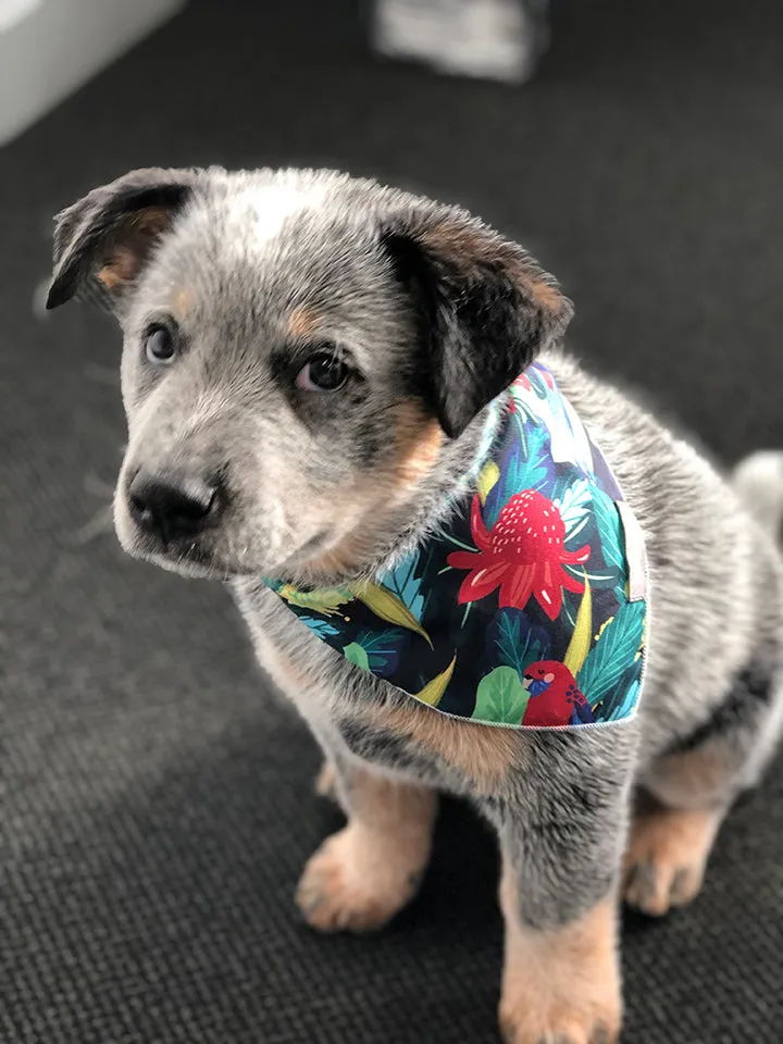 Hot Dog - Bandana - Denim