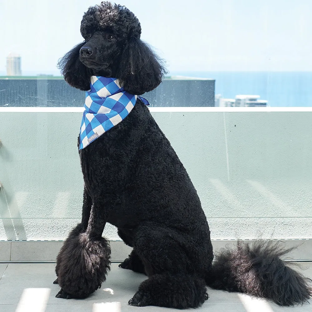 Hot Dog - Bandana - Linen - Cobalt Check