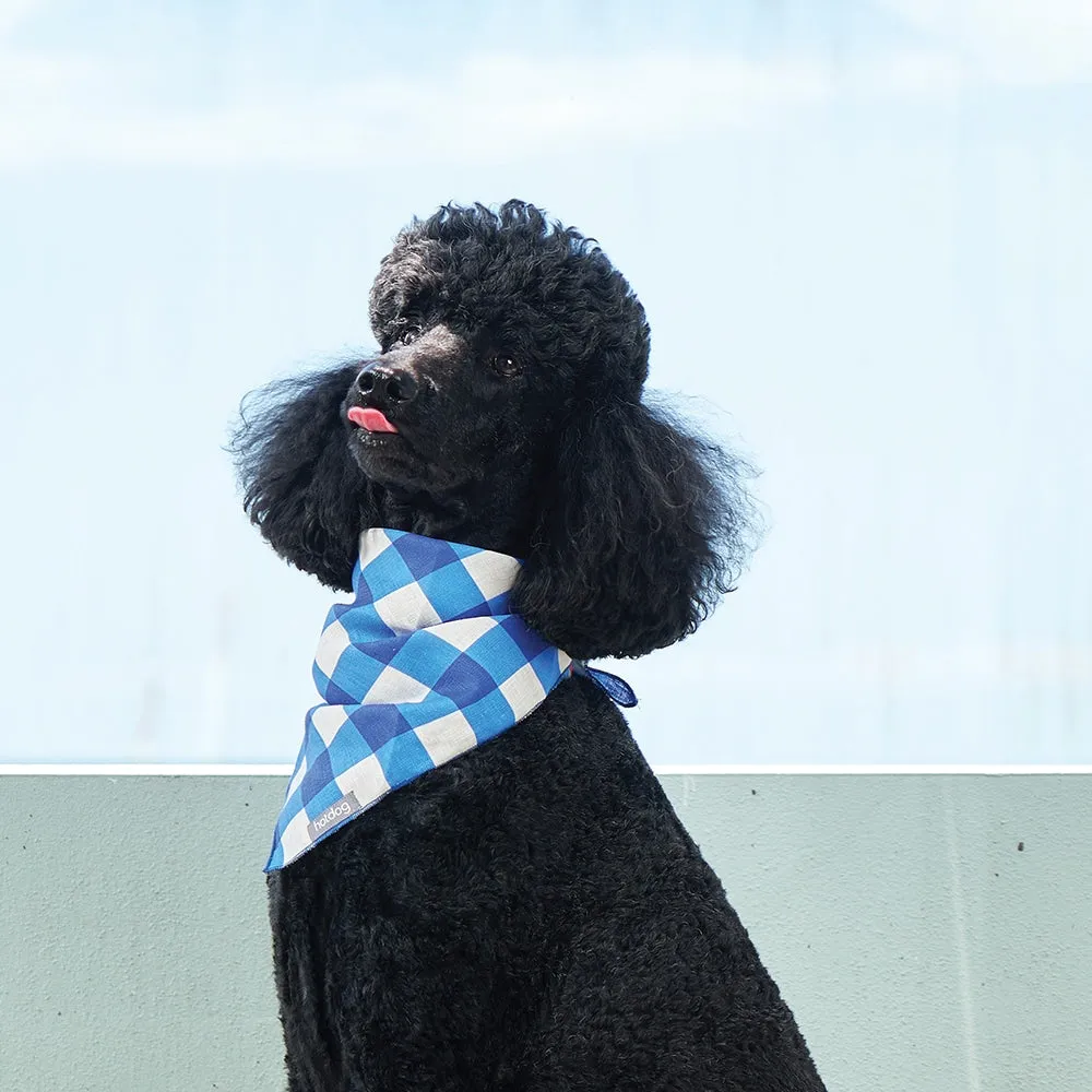 Hot Dog - Bandana - Linen - Cobalt Check