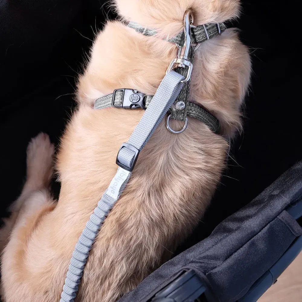 Ibiyaya No Shock! Bungee Leash Extension / Pet Stroller Tether