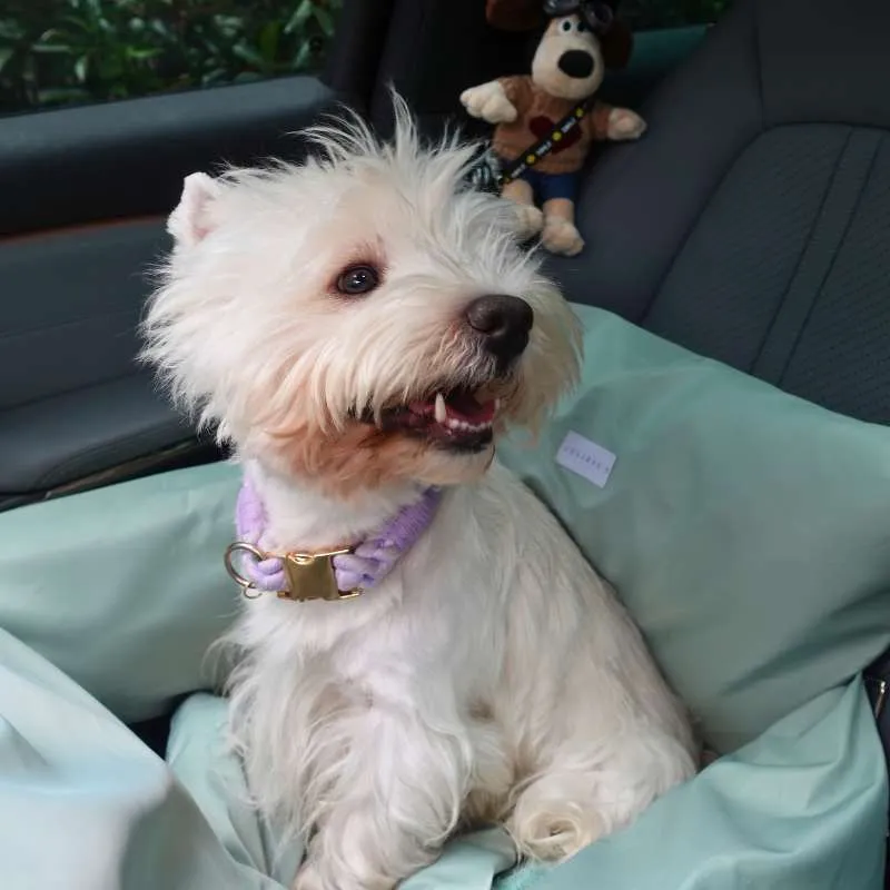 Julibee Vibrant Waterproof Large Dog Car Seat