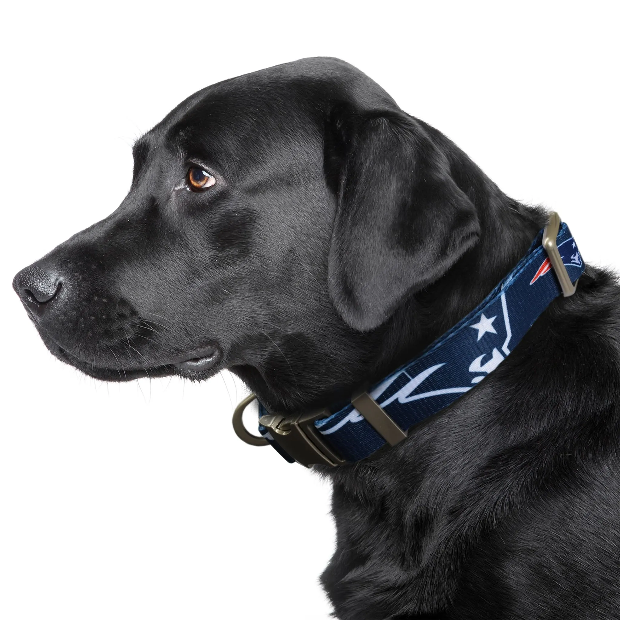 New England Patriots Premium Pet Collar