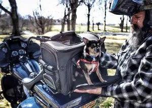 NR-240 Rover Pet Carrier