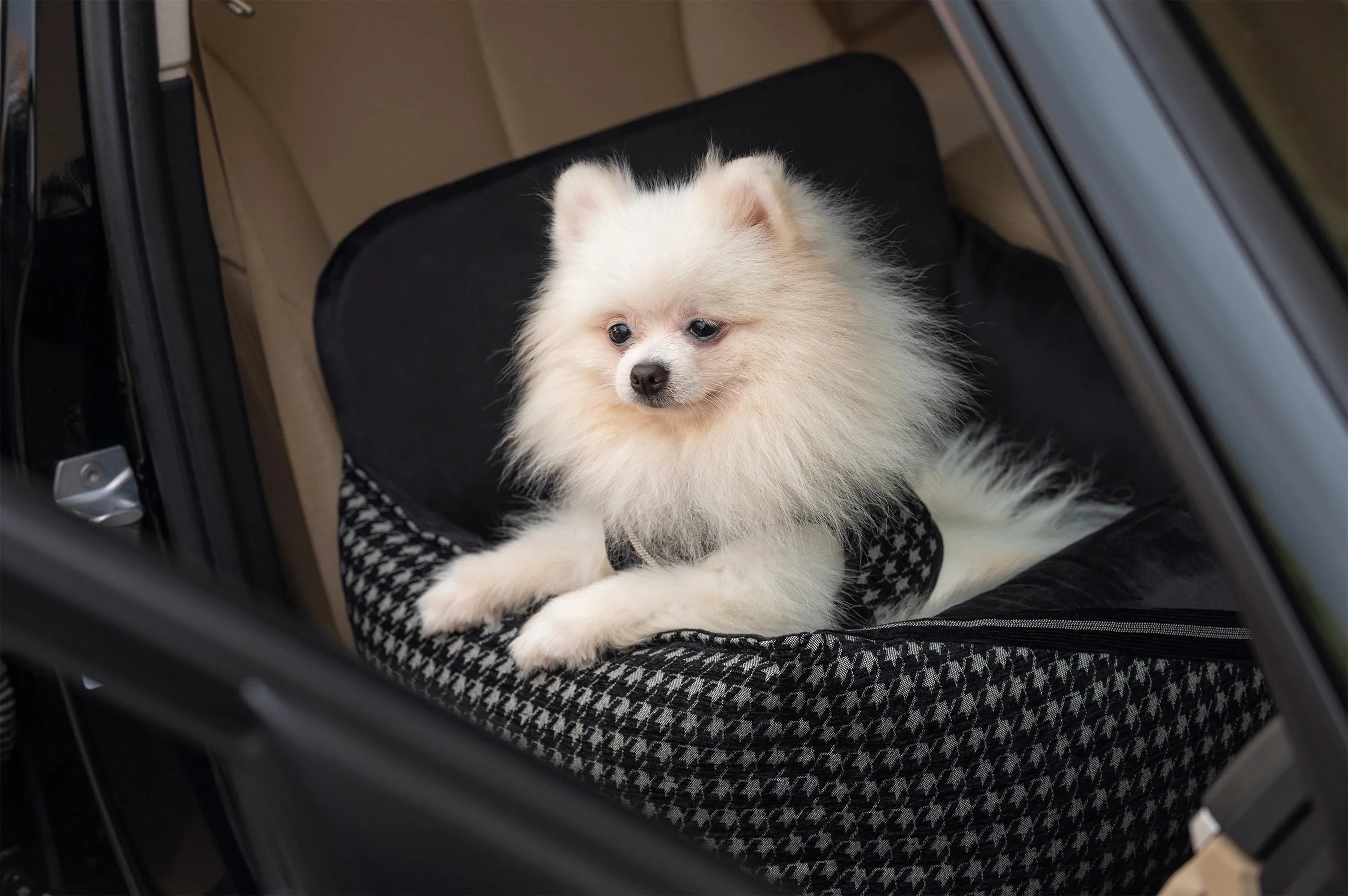 Oh Charlie Dog Car Seat Bed Prestige