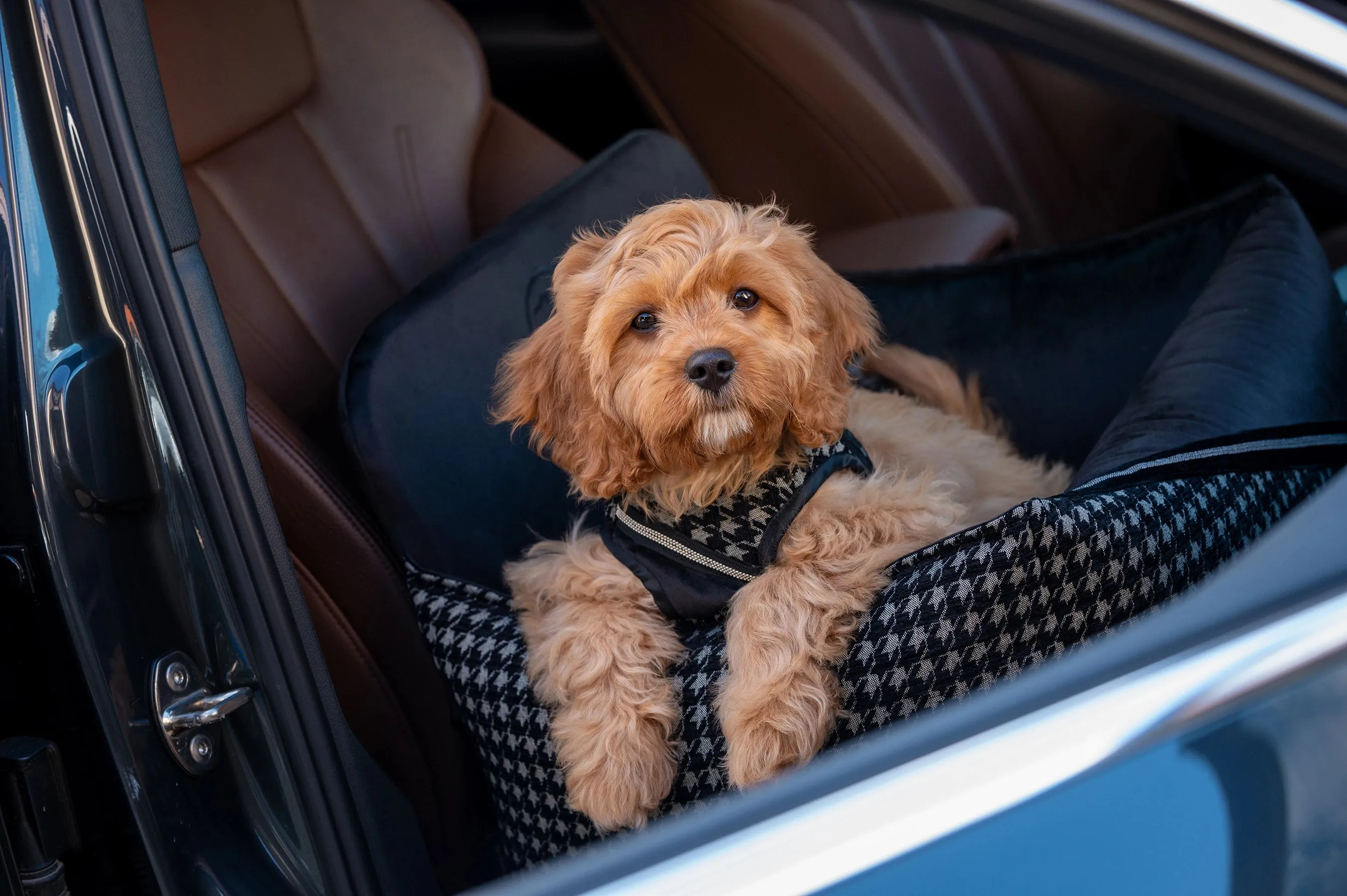 Oh Charlie Dog Car Seat Bed Prestige