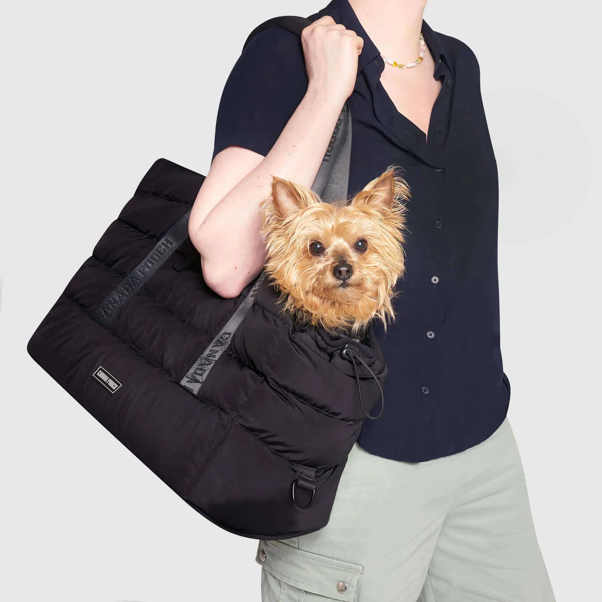 Pet Carrier: O/S / Black