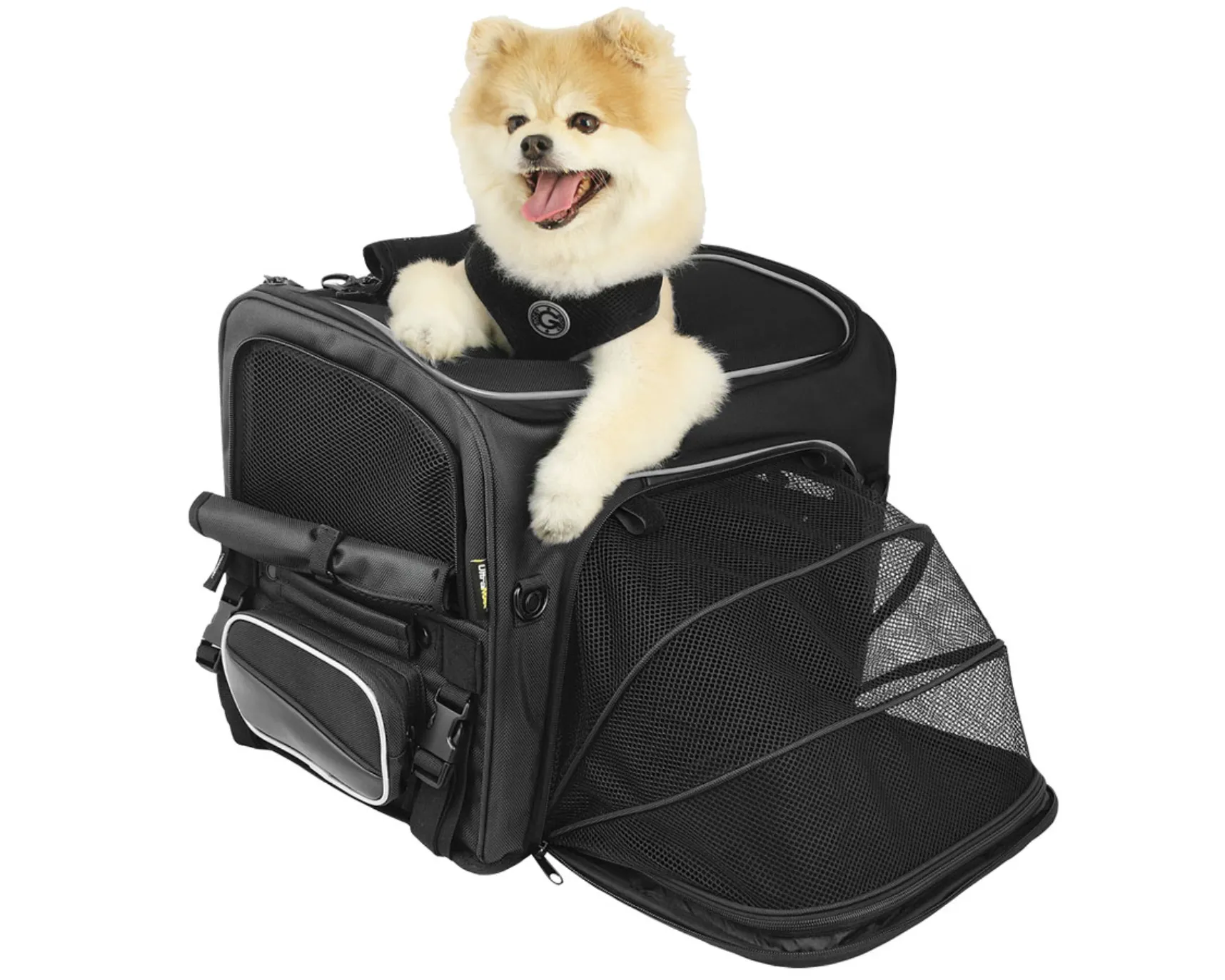 Rigg Gear Rover Pet Carrier