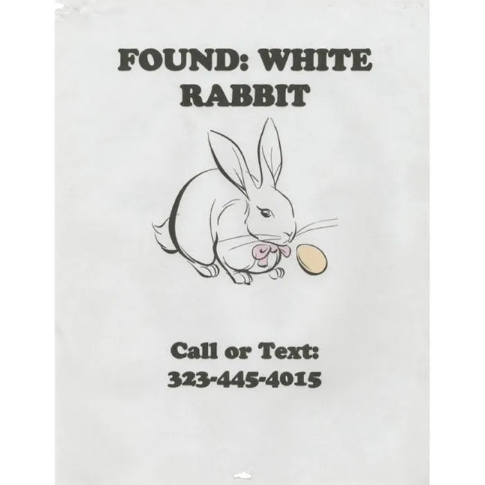 Still Missing - Animal Posters art book  - Gio Castranova