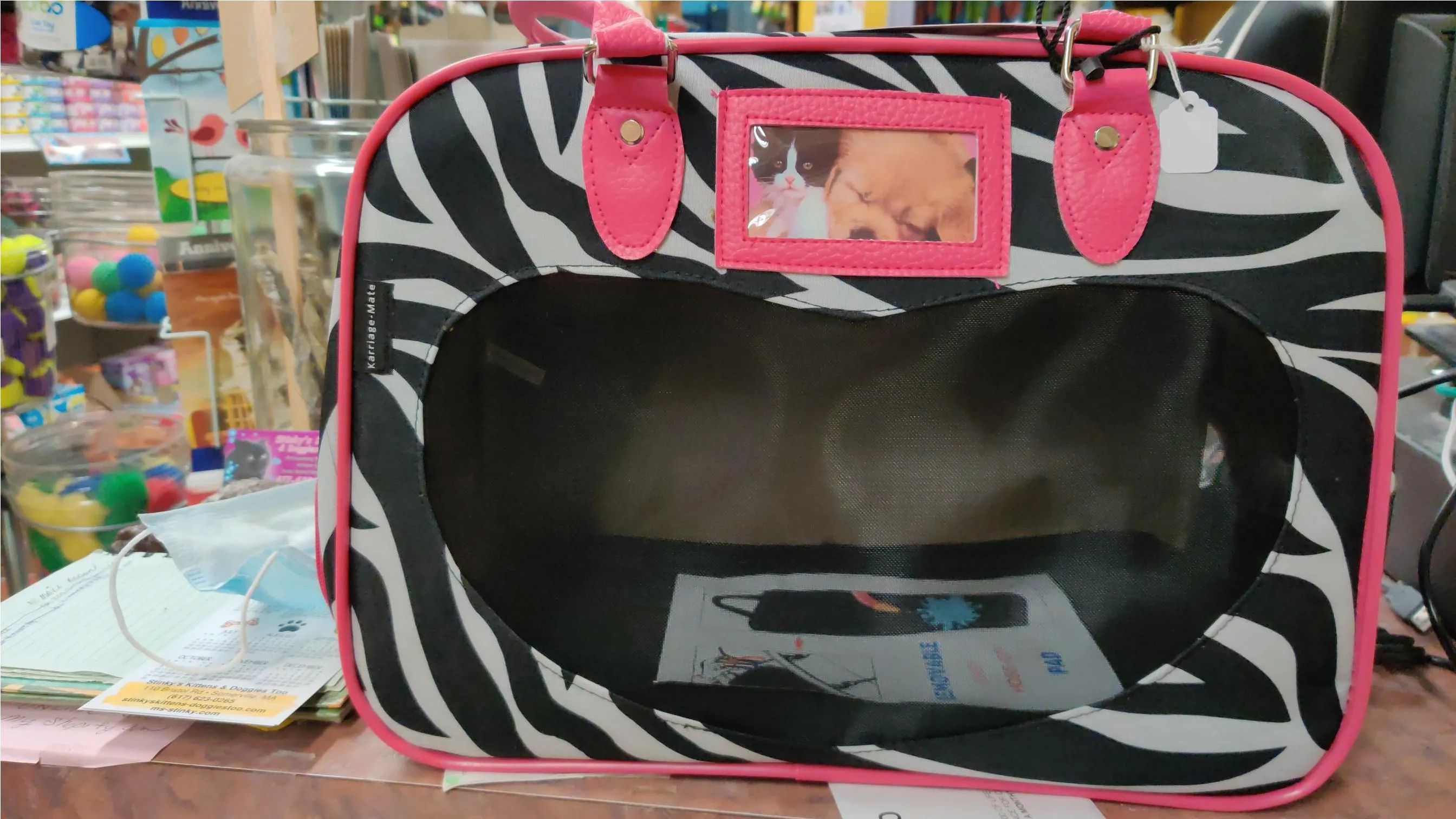 Tote-A-Pet Carrier