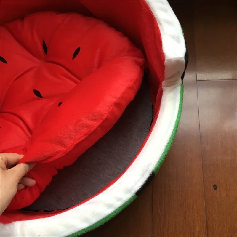Watermelon Sugar Dog bed